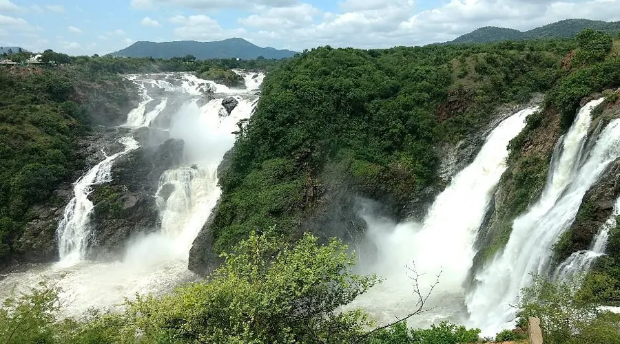 Shivanasamudra Waterfall